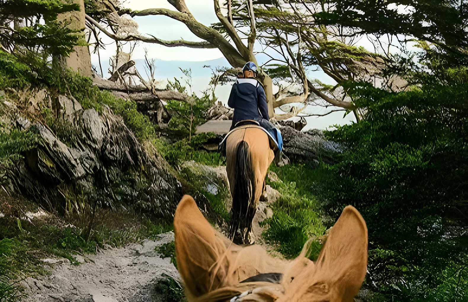 Cabalgata por la costa del Lago Escondido, Tierra del Fuego