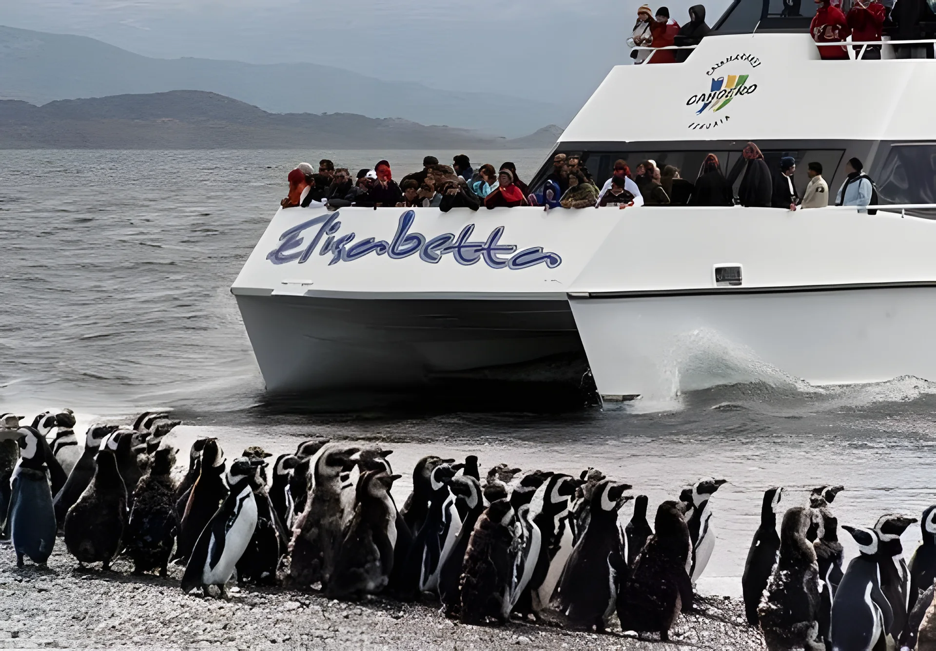 Catamarán frente a la colonia de pingüinos de Isla Martillo, Canal Beagle