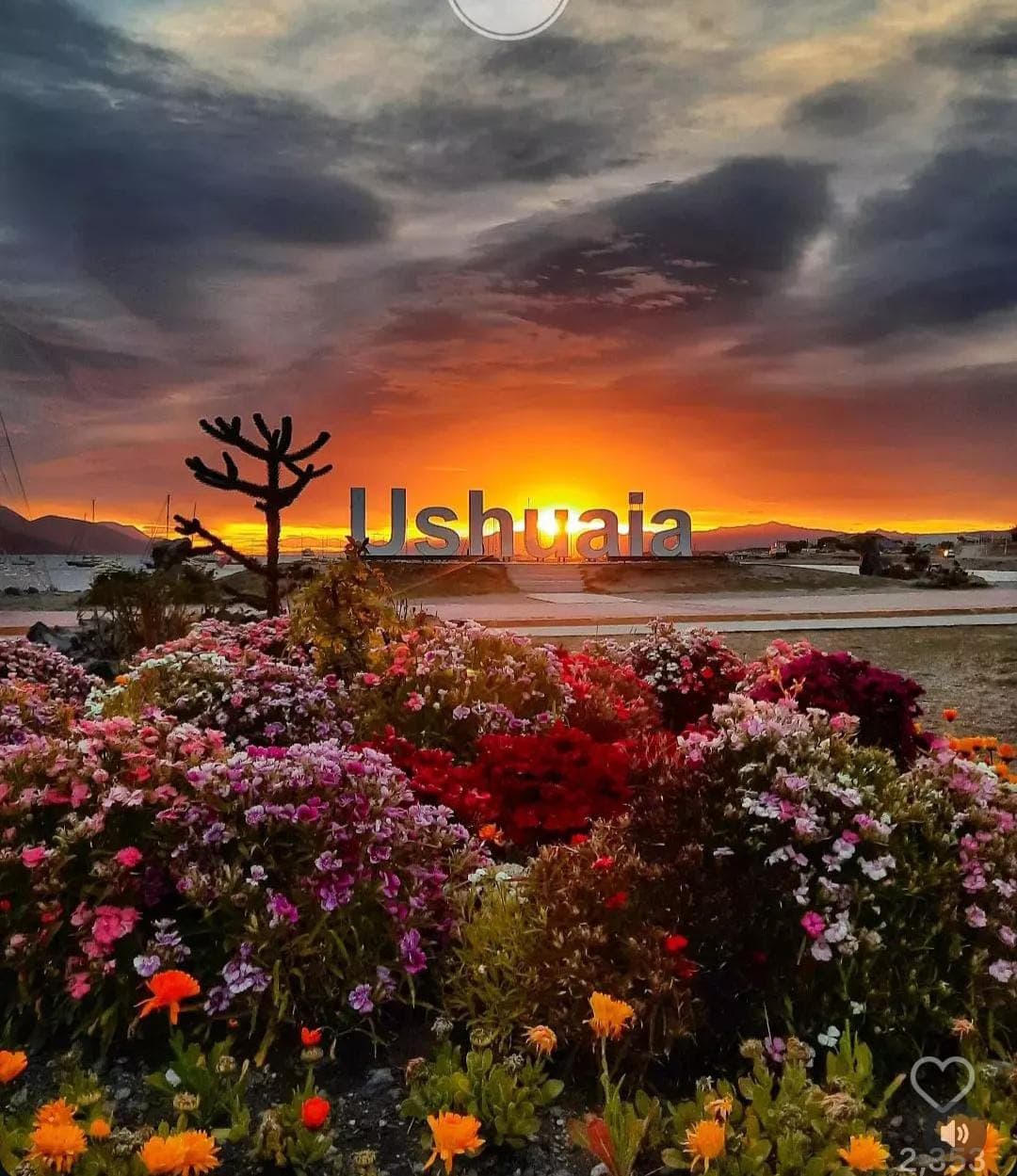 Descubriendo Ushuaia. — excursión en Ushuaia, Tierra del Fuego