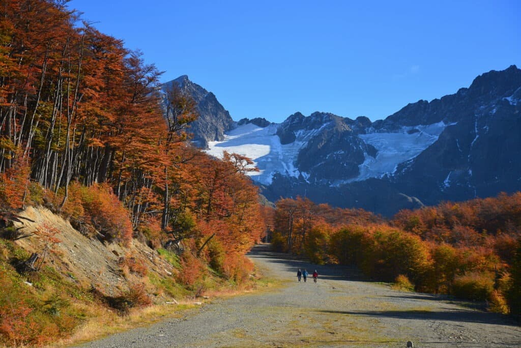 Senda Glaciar Martial — excursión en Ushuaia, Tierra del Fuego