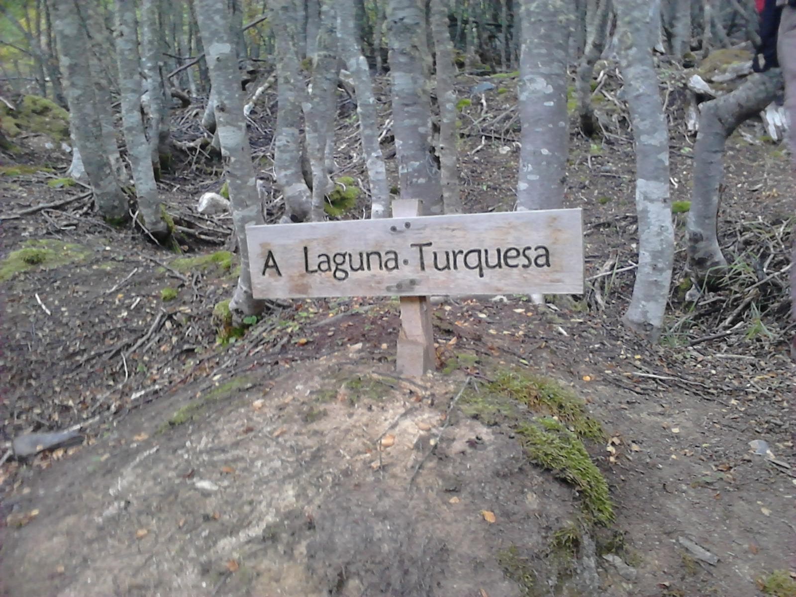 Laguna Turquesa — excursión en Ushuaia, Tierra del Fuego