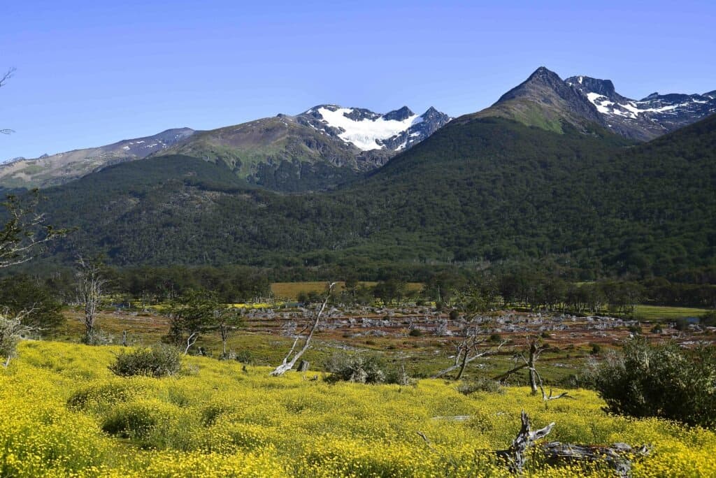 Glaciar Vinciguerra y Laguna de los Tempanos — foto 2