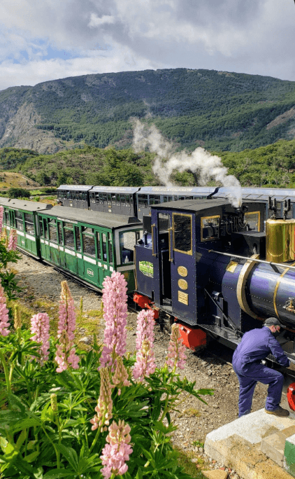 Parque Nacional + Traslado Tren del Fin del Mundo — foto 2